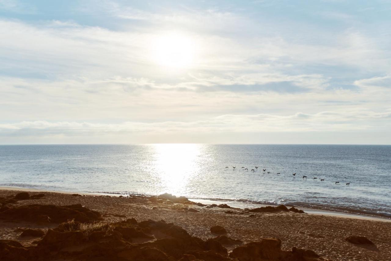Beachfront Flats Los Cabos San Jose del Cabo Luaran gambar